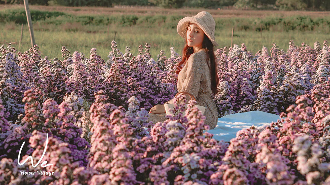 5 ทุ่งดอกไม้ในเชียงใหม่ หนาวนี้ต้องแวะแชะรูปอัพโปรไฟล์ ให้โลกสดใสด้วยดอกไม้บาน