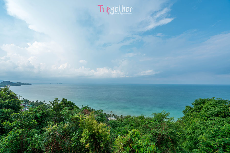 White_sand_beach_viewpoint-1