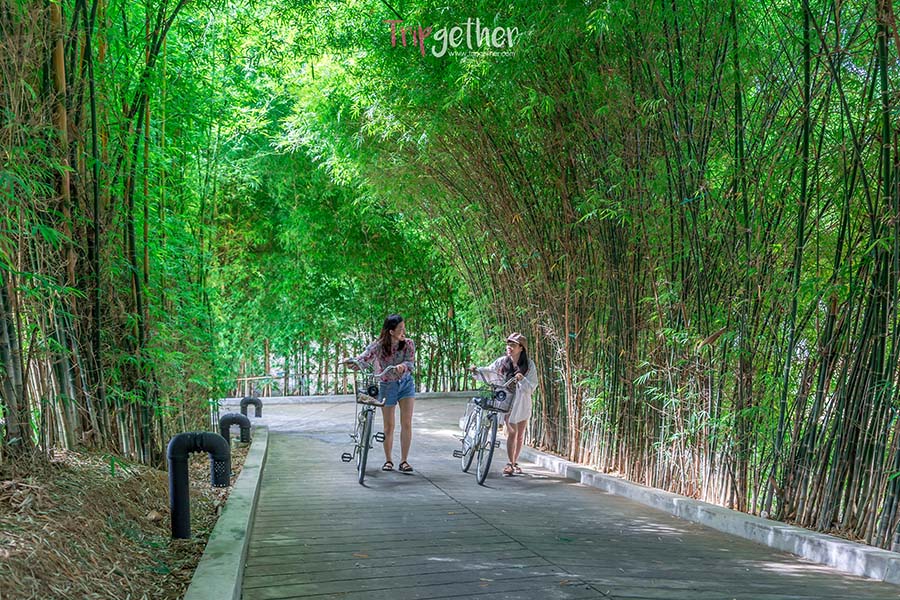 X2_River_Kwai_Resort-245