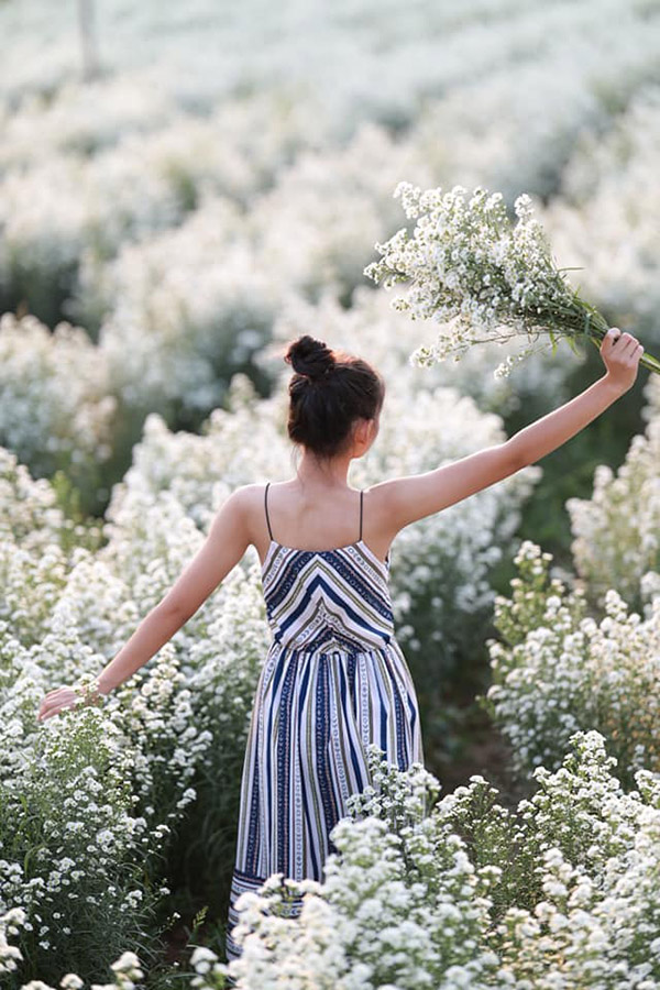 5 ทุ่งดอกไม้เชียงใหม่ ถ่ายรูปเพลิน ลงแล้วปัง!