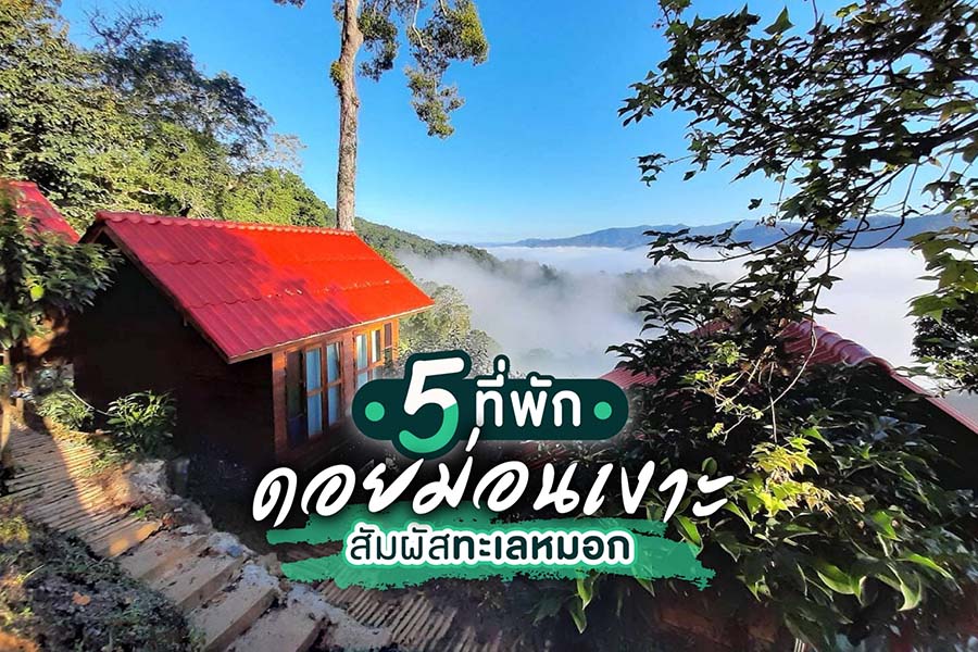 5 ที่พักใกล้ดอยม่อนเงาะ เชียงใหม่ สัมผัสทะเลหมอก ไม่ไกลจากตัวเมือง