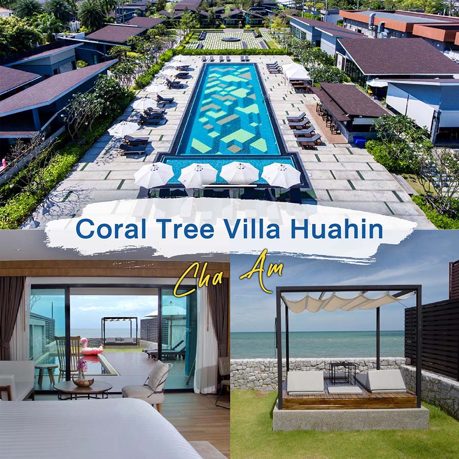 c0ec44ad1615ea08ea508dc96c9c7b4f7_57636417_200611_0002