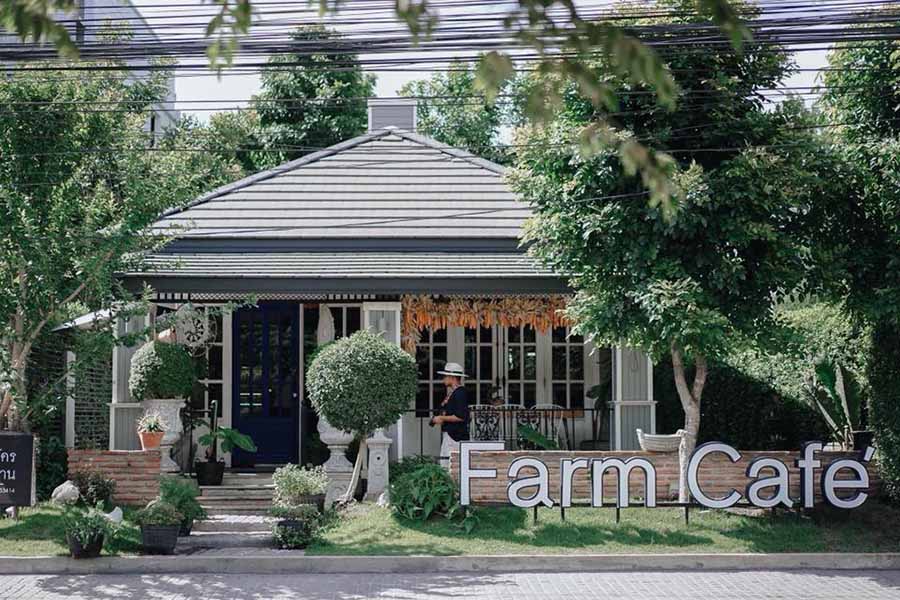 farmcafe_1