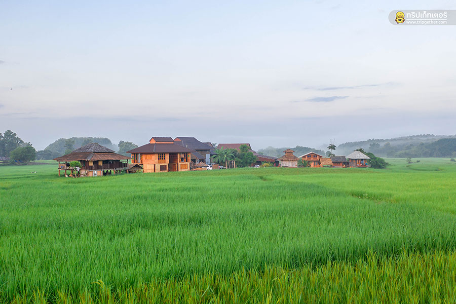 farmerschoolhomestay-1