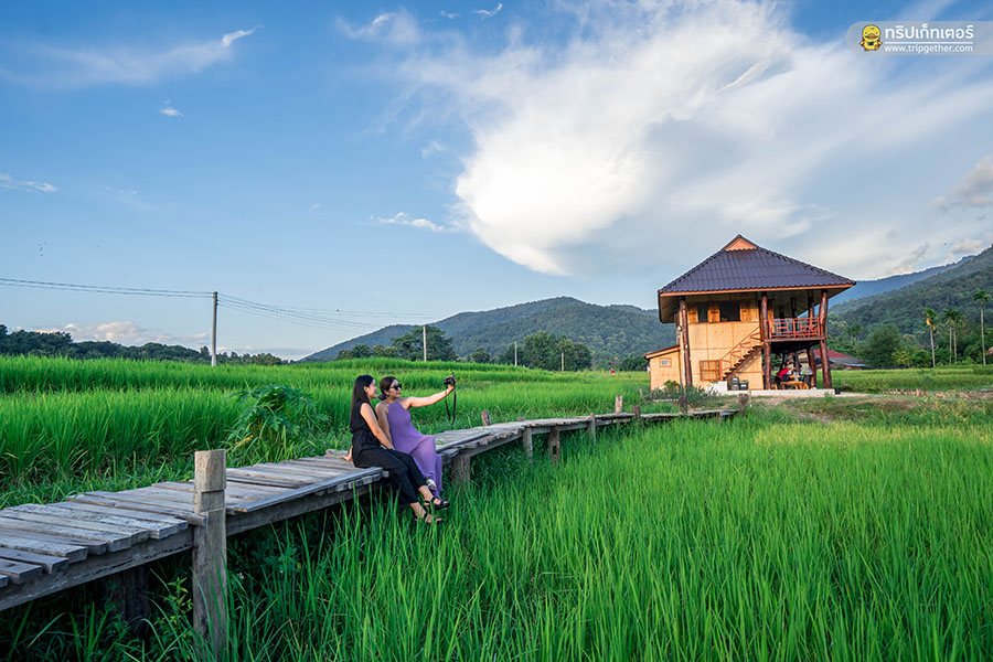 farmerschoolhomestay-102