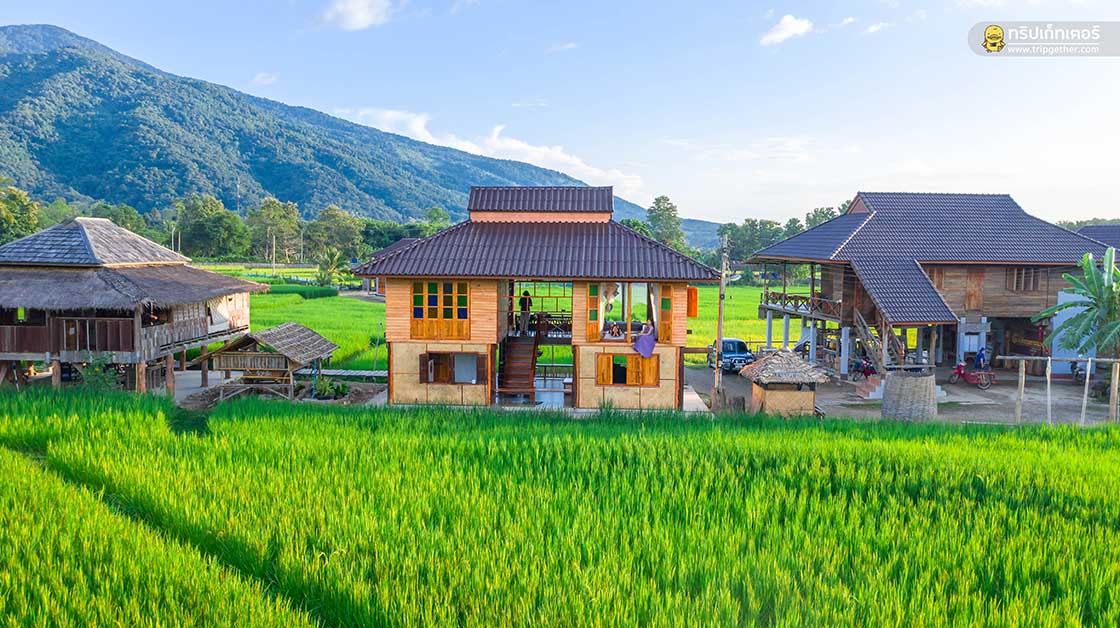 farmerschoolhomestay-11