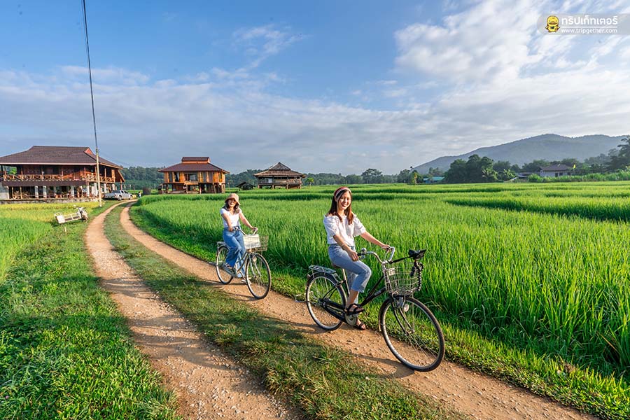 farmerschoolhomestay-148