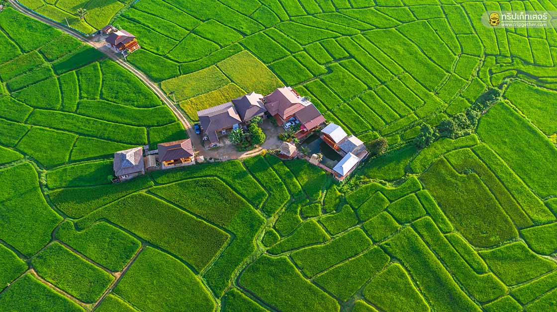 farmerschoolhomestay-4