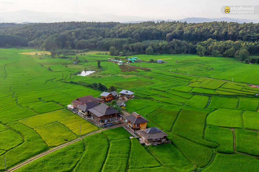 farmerschoolhomestay001