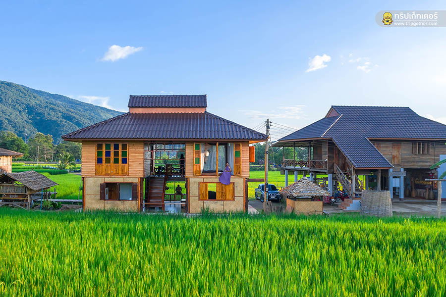 farmerschoolhomestay001