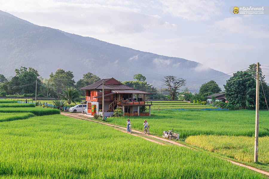 farmerschoolhomestay001