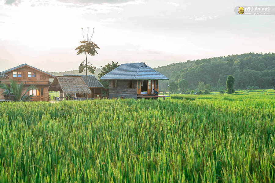 farmerschoolhomestay001