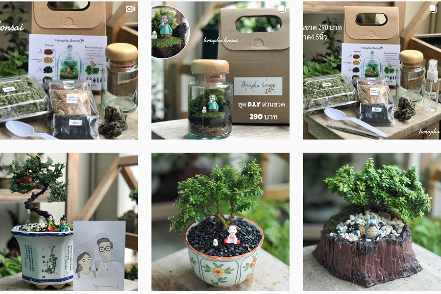 horapha_bonsai_01