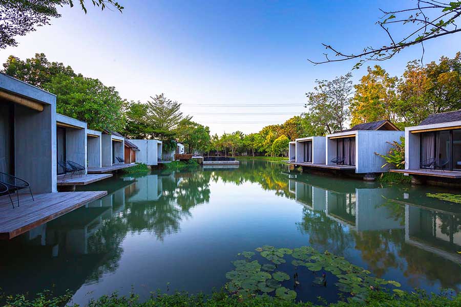 in to the forest resort_3