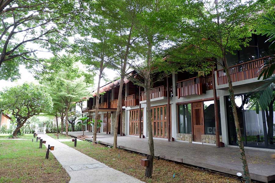 in to the forest resort_3