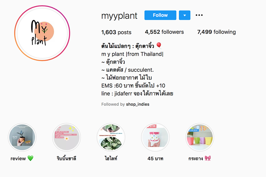 myyplant_01