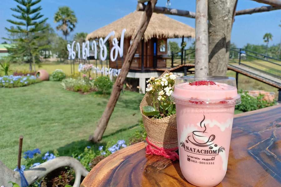 natachom_1