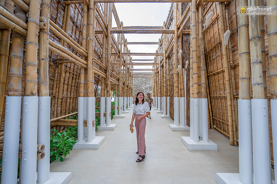 ร้านน่านั่งบางแสน พัทยา สัตหีบ