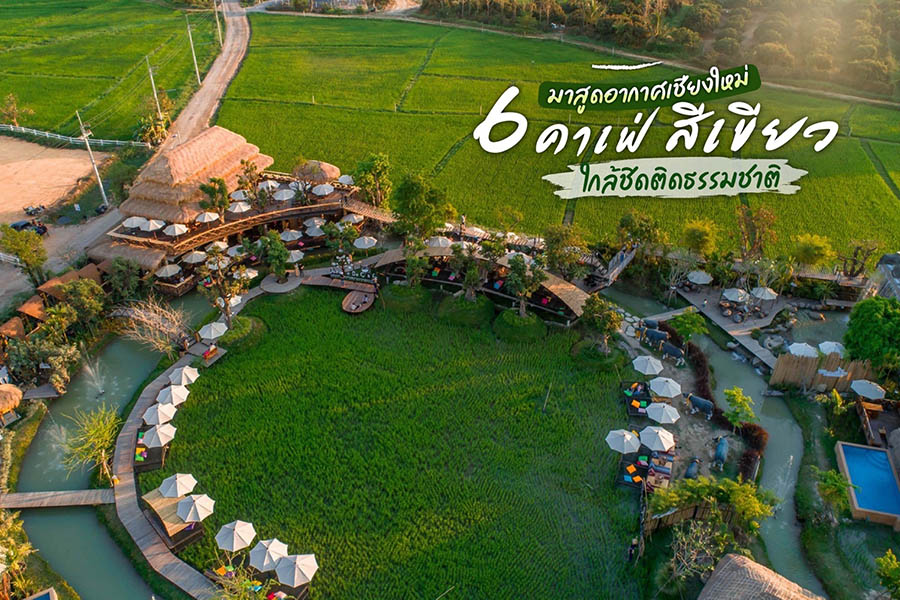 มาสูดอากาศเชียงใหม่ กับ 6 คาเฟ่สีเขียวใกล้ชิด ติดธรรมชาติ