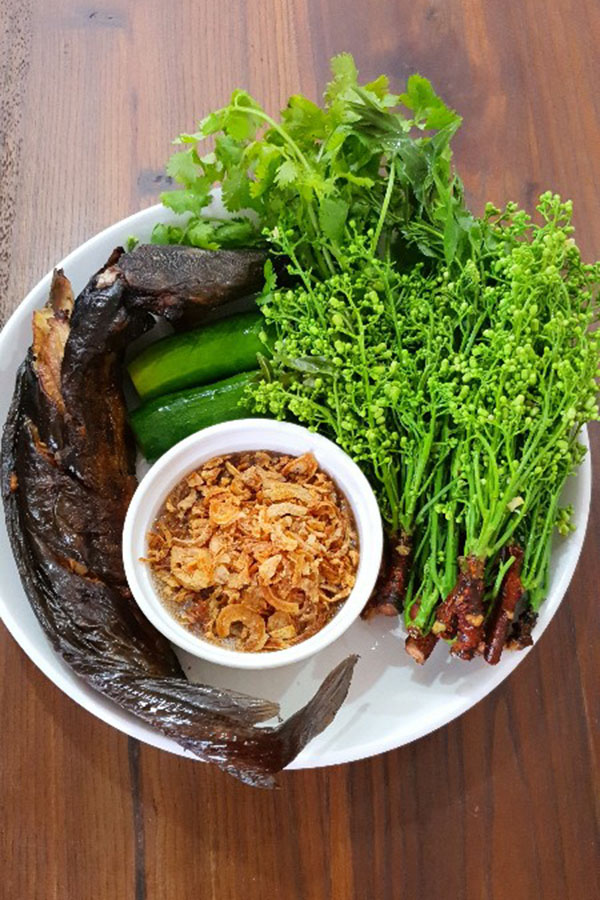 q369ub5de2i847fU51jo-o