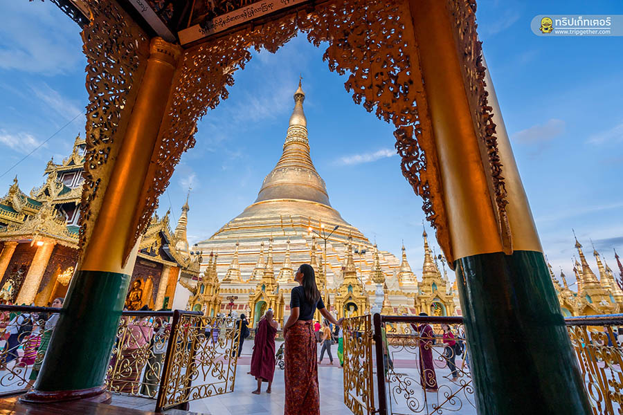 shawedagon1