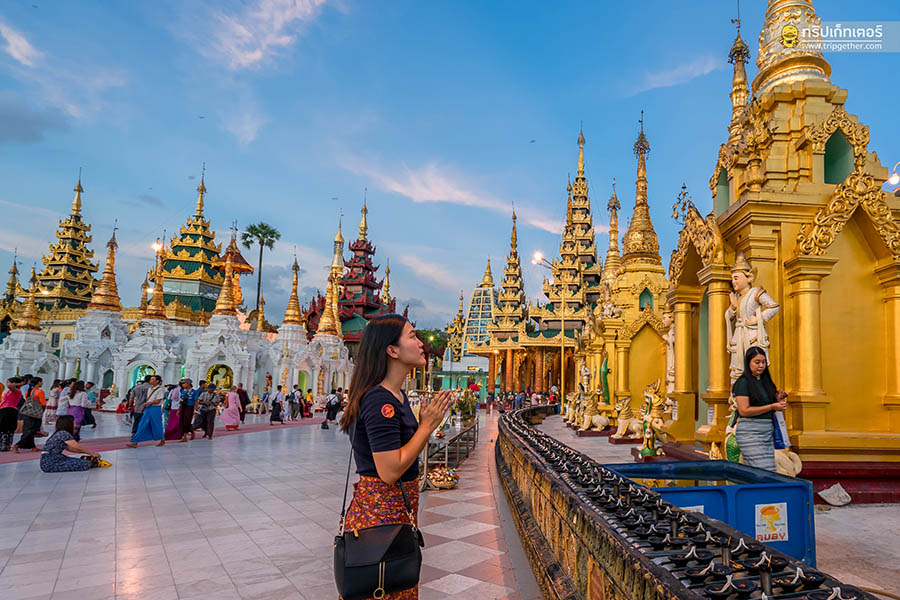shawedagon1