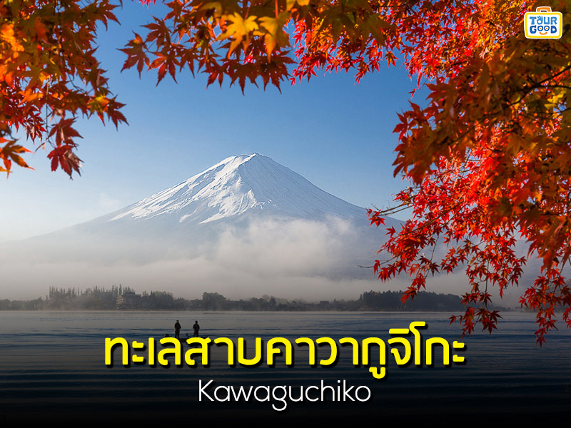 thalesab kha wa ku ci koa