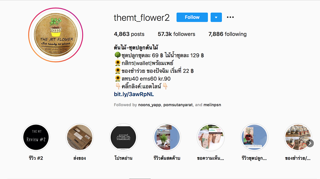themt_flower2_01