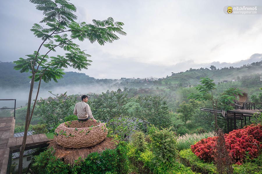 theteracekhaokho-135