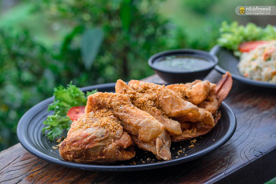 theteracekhaokho-135