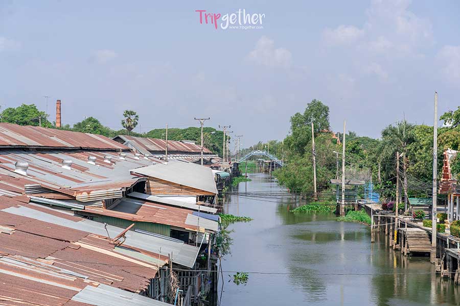 tlad na khlxng swn_100_pi-2